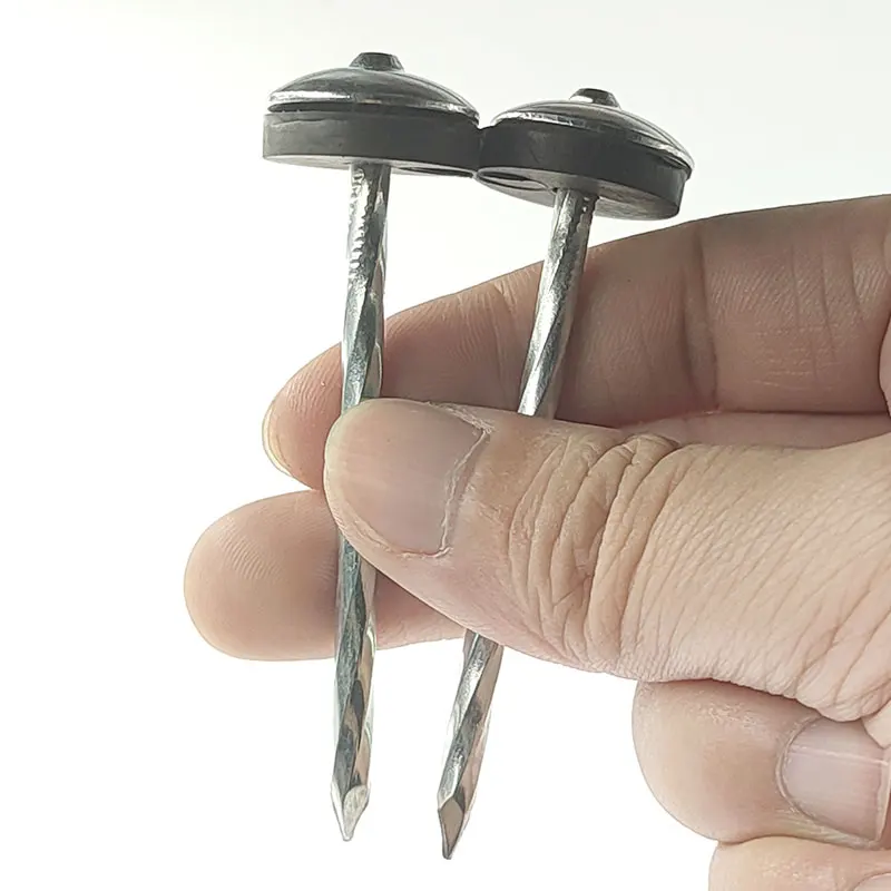 Nail Rubber HEADS-10