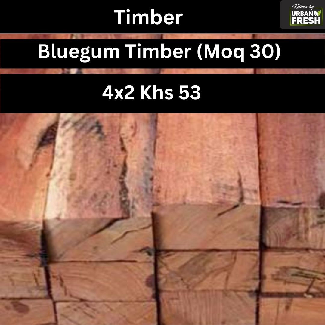 BLUE GUM [4X2]