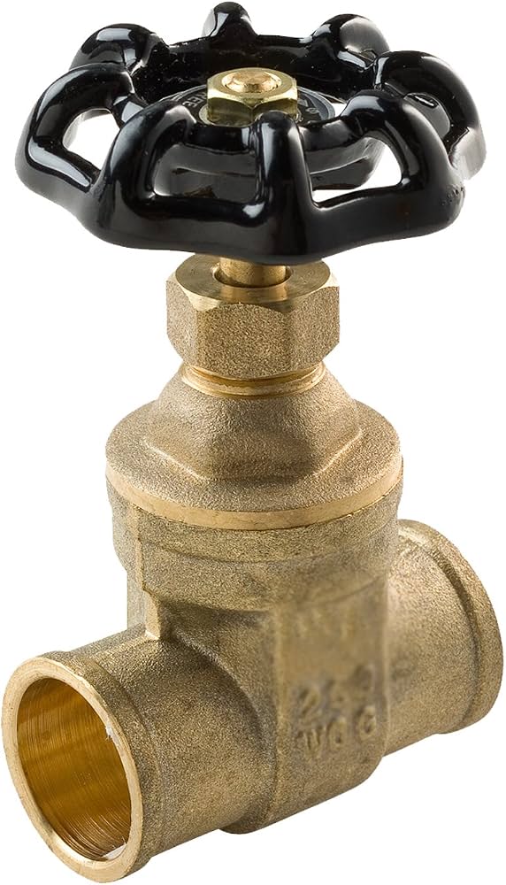 Gate Valve 1