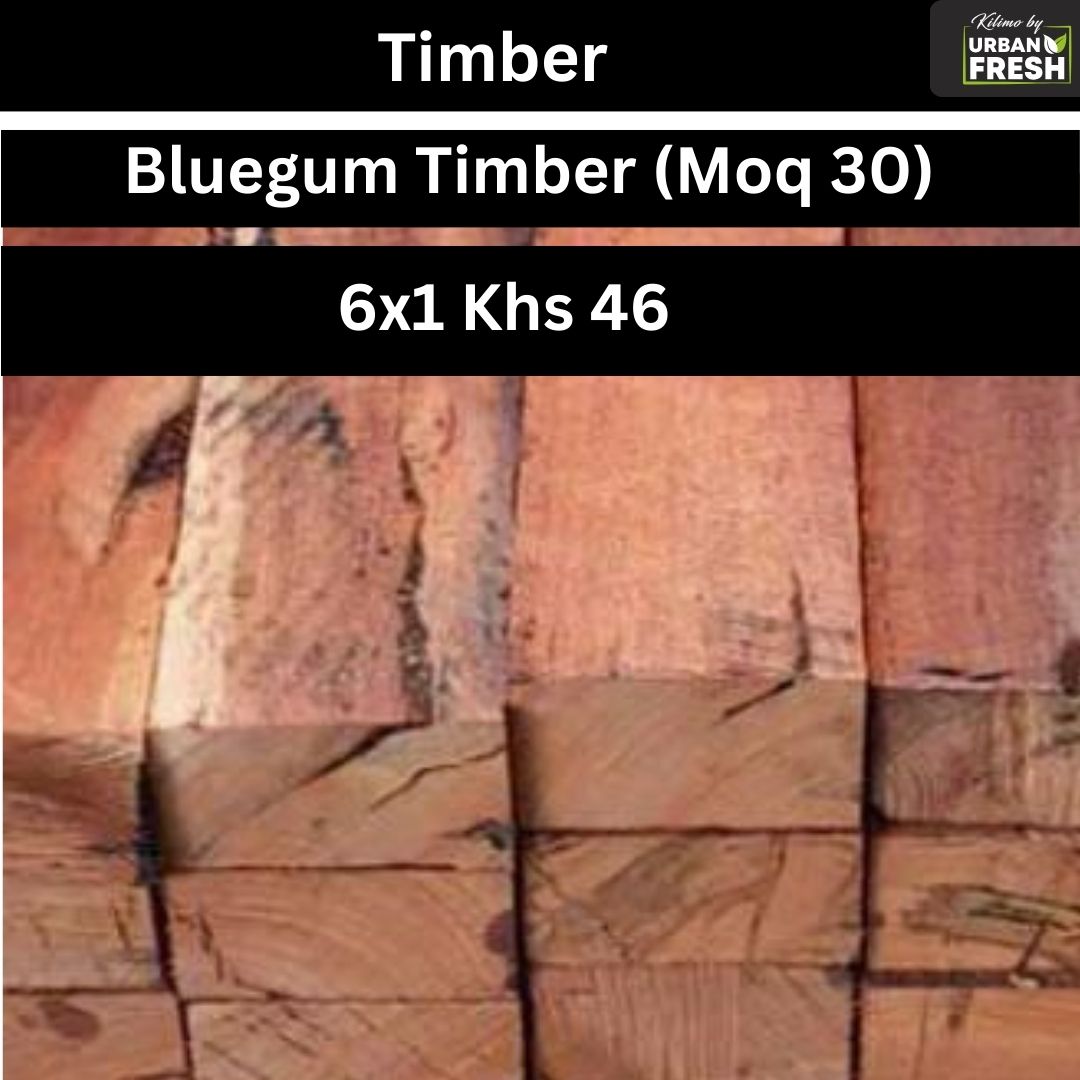 BLUE GUM 6*1